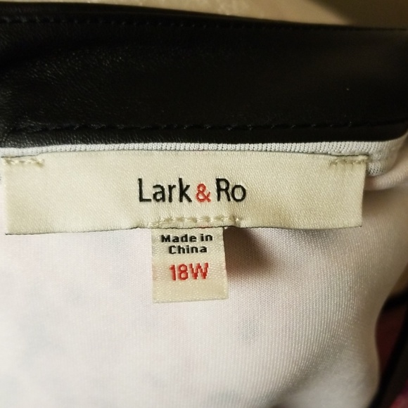 🍬 ➕ Lark & Ro sleeveless dress - Picture 7 of 7